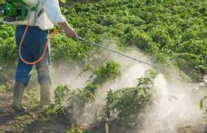 iStock_ManSprayingPesticides_XSmall.jpg