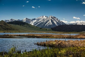 Photo credit: USFWS mountain-prarie