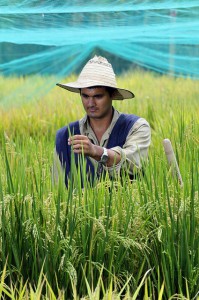 Photo credit: Neil Palmer (CIAT)