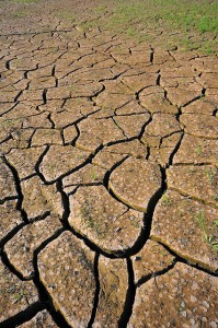 Photo credit: Neil Palmer (CIAT)