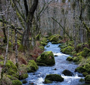 Photo credit: Per Salomonsson